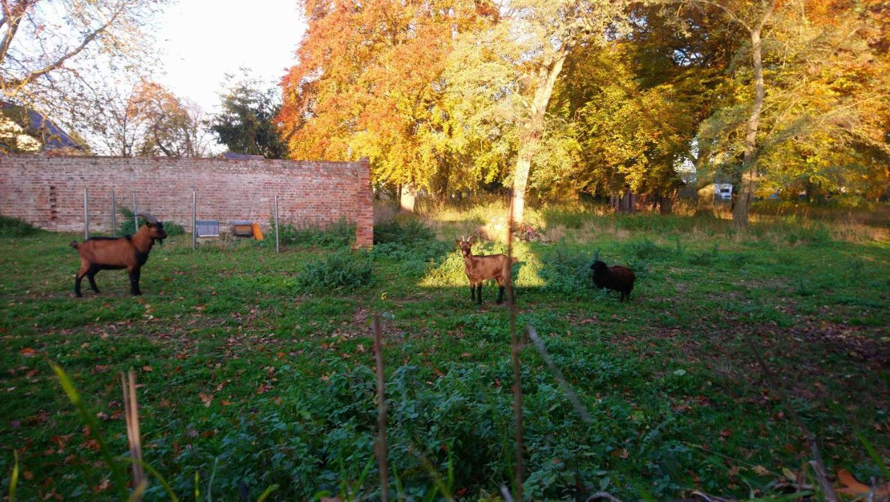 Отель Le Jardin Des Ecureuils Demuin Экстерьер фото